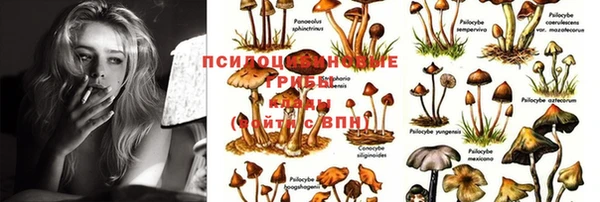 первитин Балахна