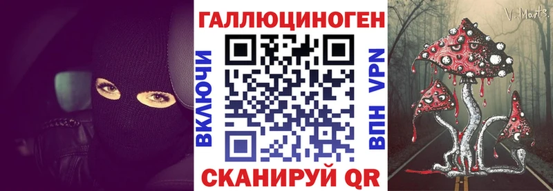 Псилоцибиновые грибы Cubensis  Беломорск 