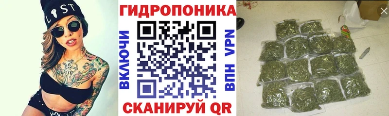 Конопля тримм  наркошоп  Беломорск 
